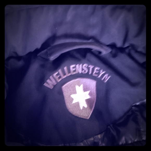 Original Wellensteyn Remix
